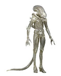 1/4 Scale Translucent Action Figure I296287