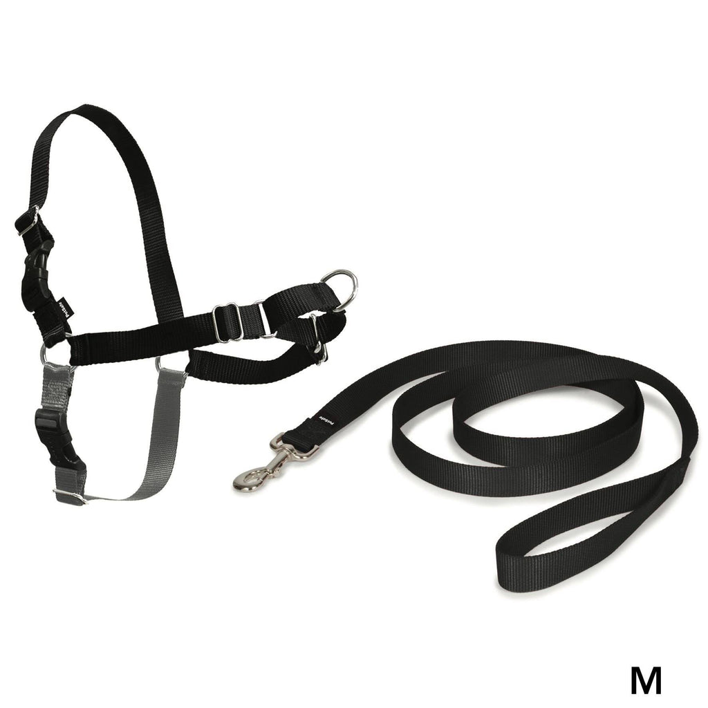 Black Medium Harness W919995