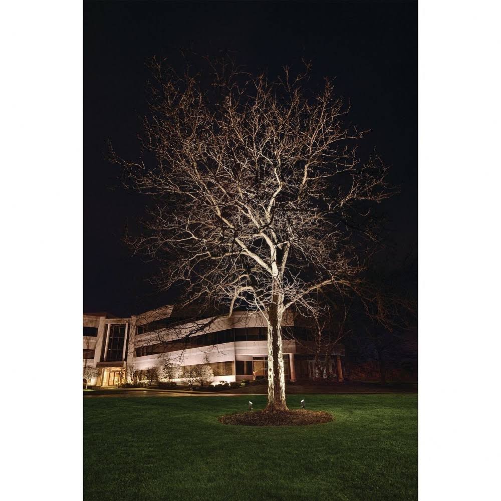 Textured Black LED Landscape Accent Light Q43810