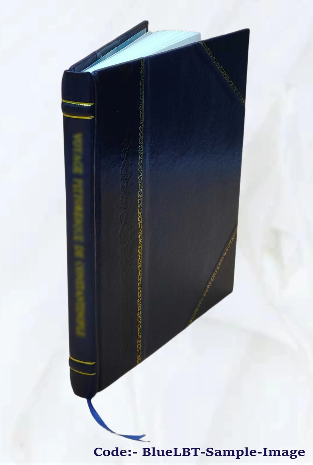 Leather Bound Book C60102