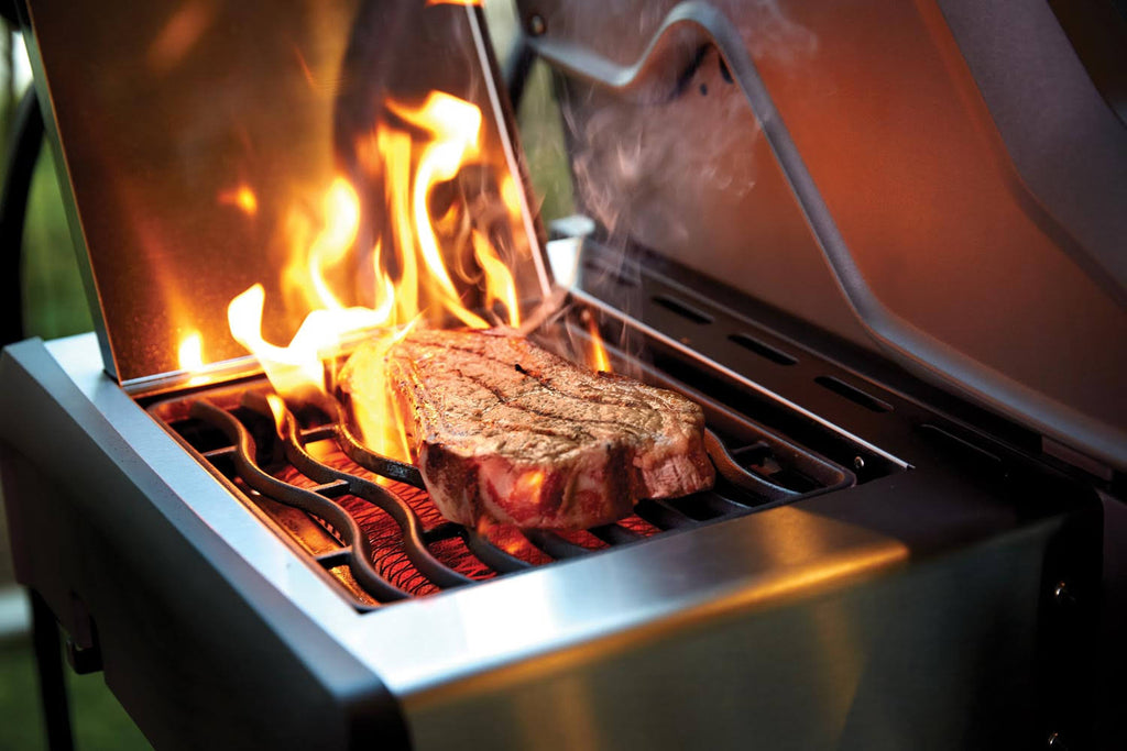 Stainless Steel Propane Gas Grill with Infrared Side Burner V150581