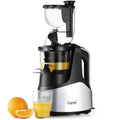 Silver Slow Masticating Juicer Cold Press Extractor L672795