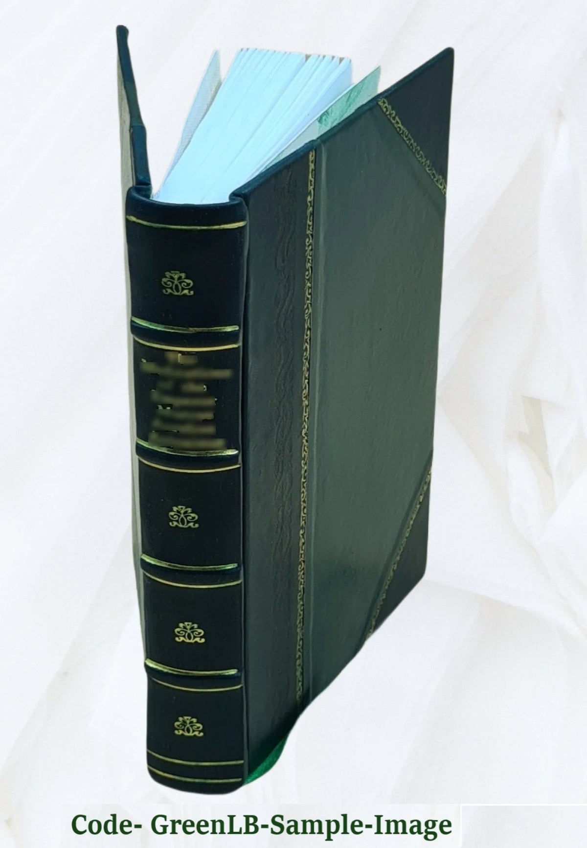 Leather Bound Book Y8027