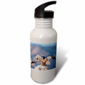 21 oz Sports Water Bottle U5654