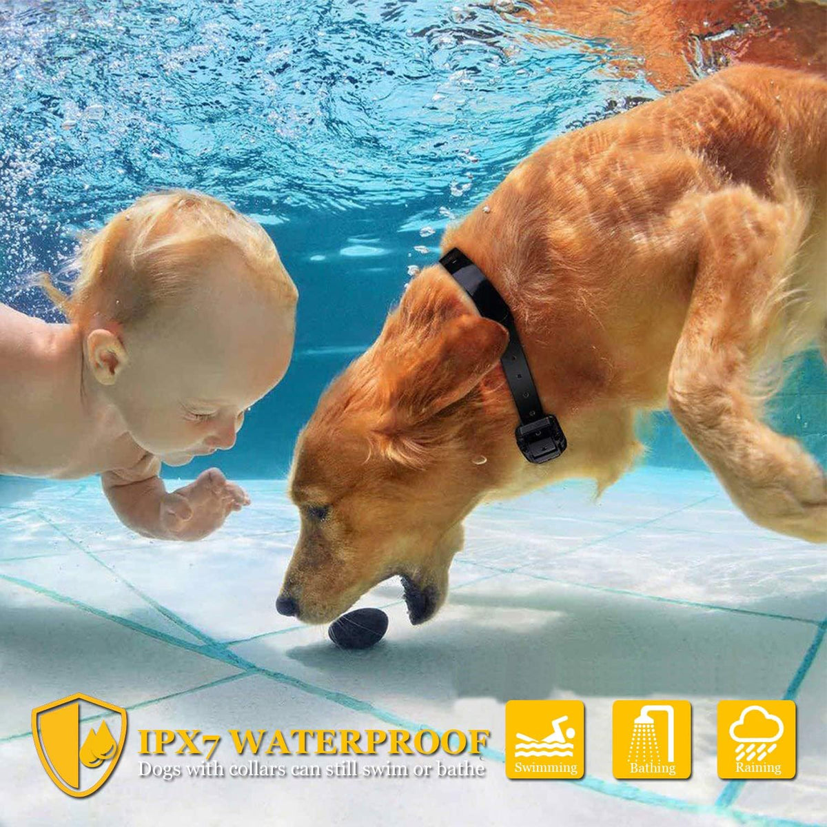 Waterproof Rechargeable Dog Training Collar Pack of 2 O909198