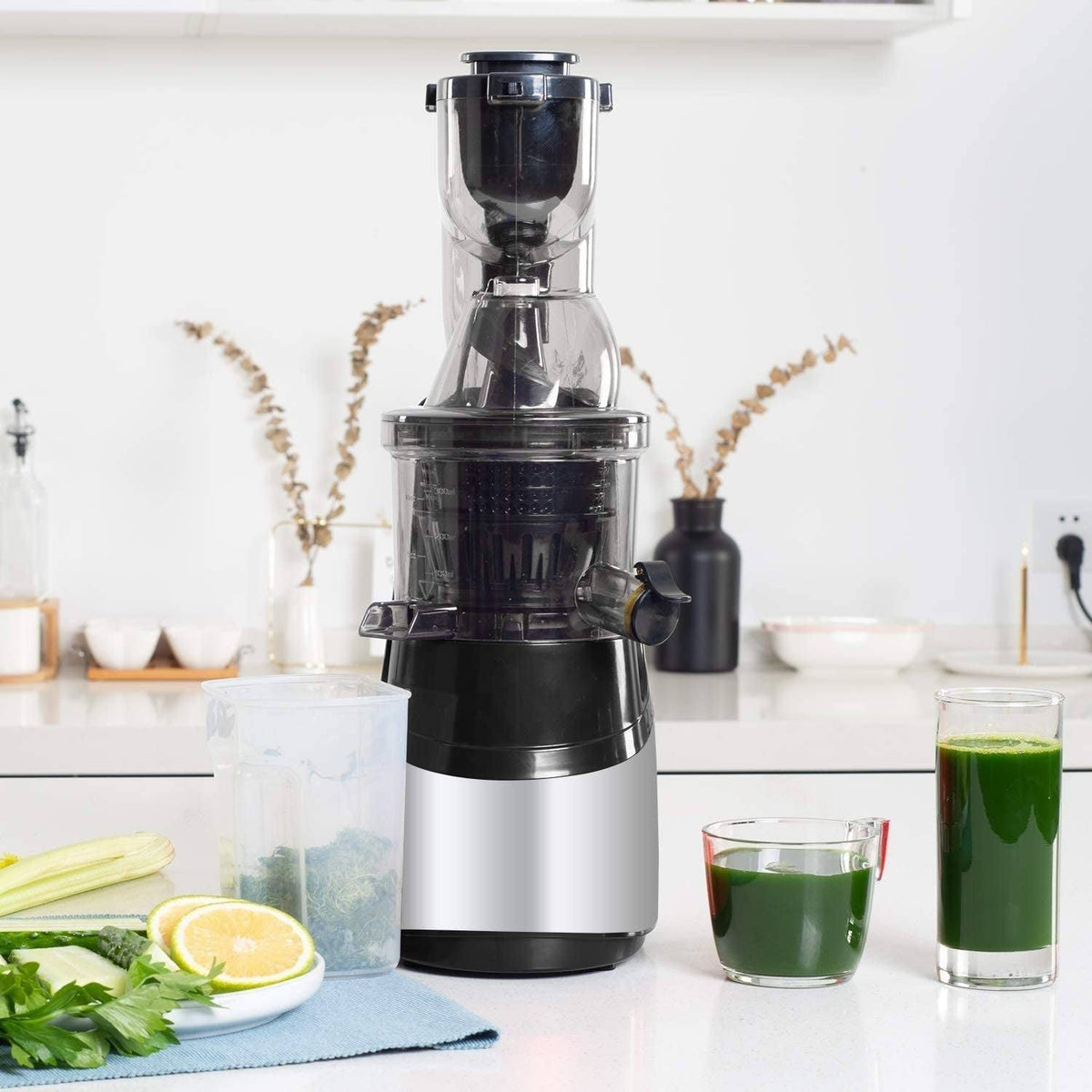 Silver Slow Masticating Juicer Cold Press Extractor L672795
