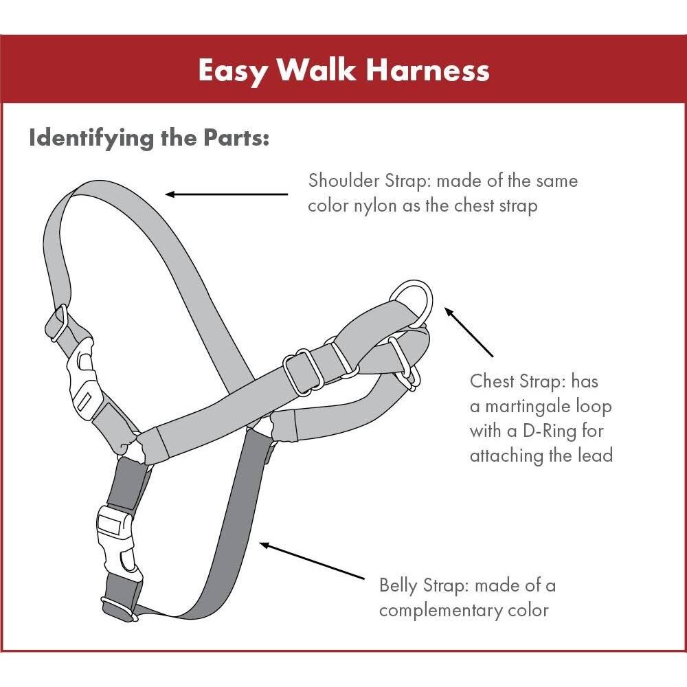 Black Medium Harness W919995