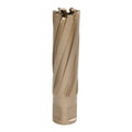 21mm x 50mm Carbide Tip Annular Cutter J564395