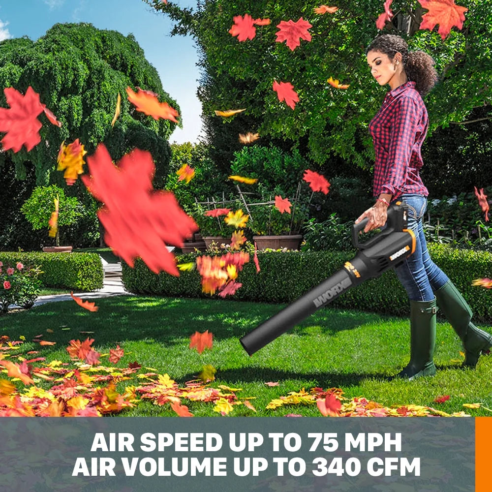 20 Volt Cordless 2 Speed Leaf Blower V894