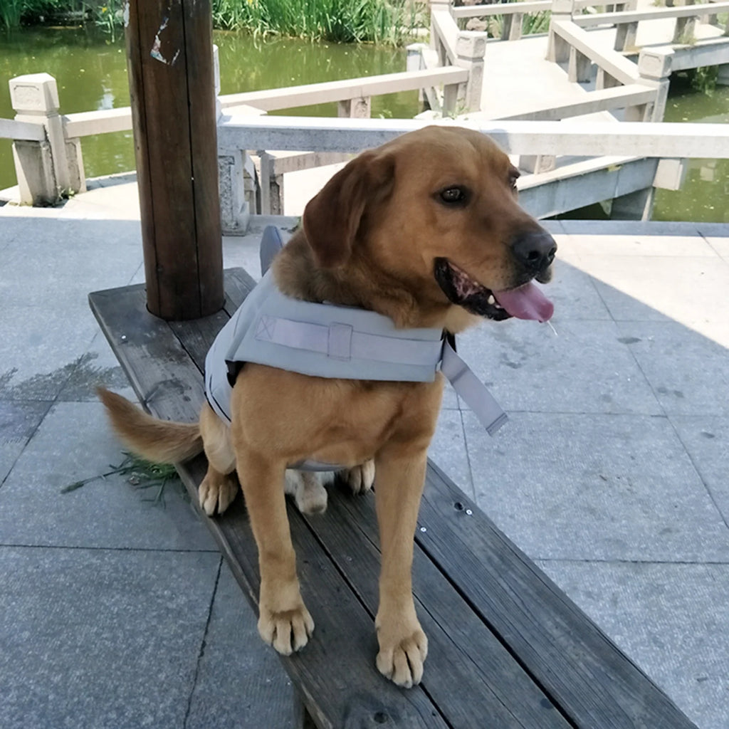Dog Pet Shark Swimsuit Vest Safety Wear C796
