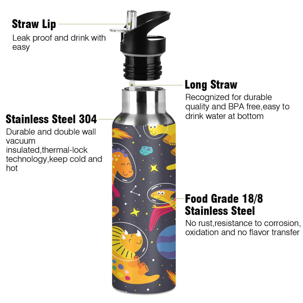 Stainless Steel Vacuum Insulated Water Bottle with Straw Lid 20 OZ P64158