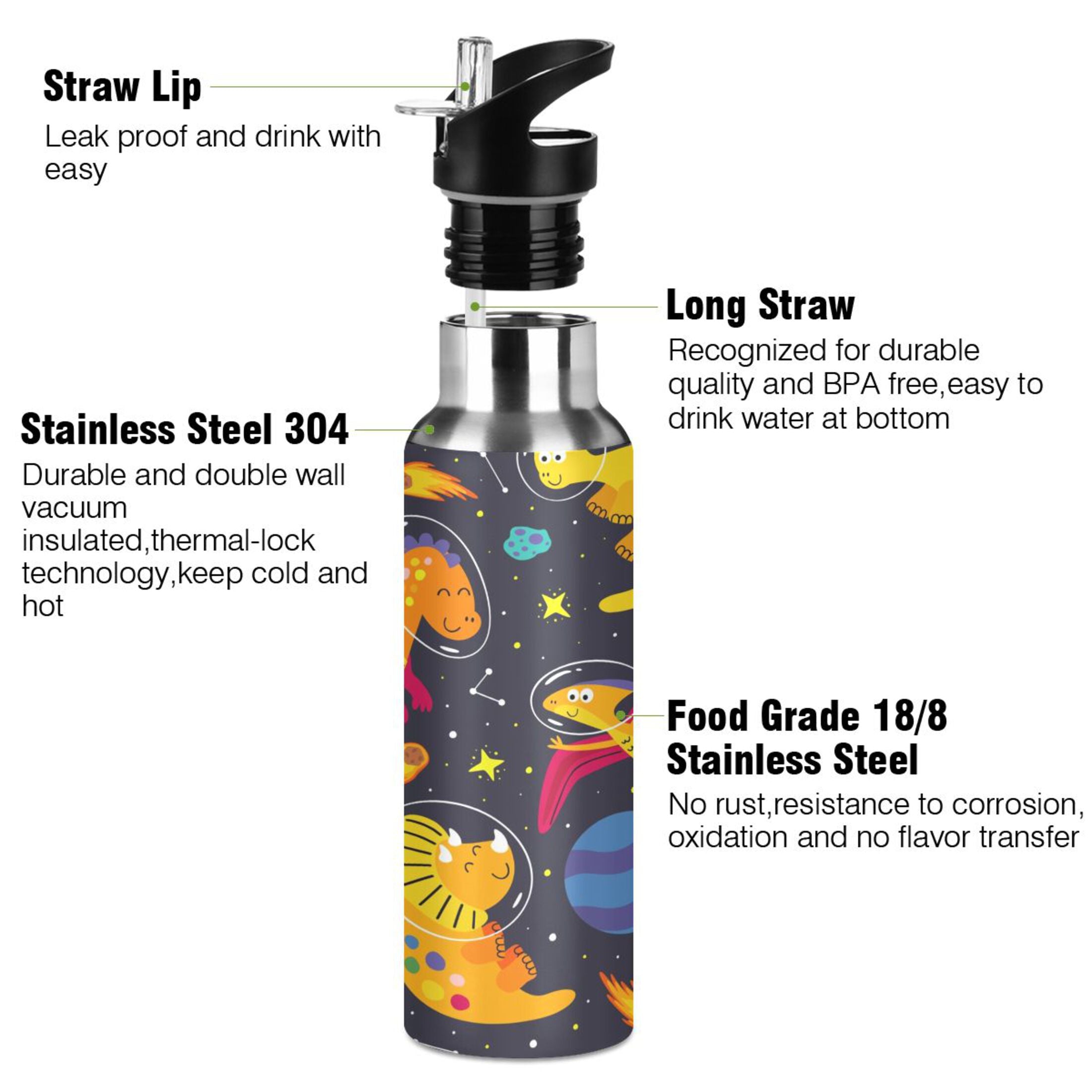 Stainless Steel Vacuum Insulated Water Bottle with Straw Lid 20 OZ P64158