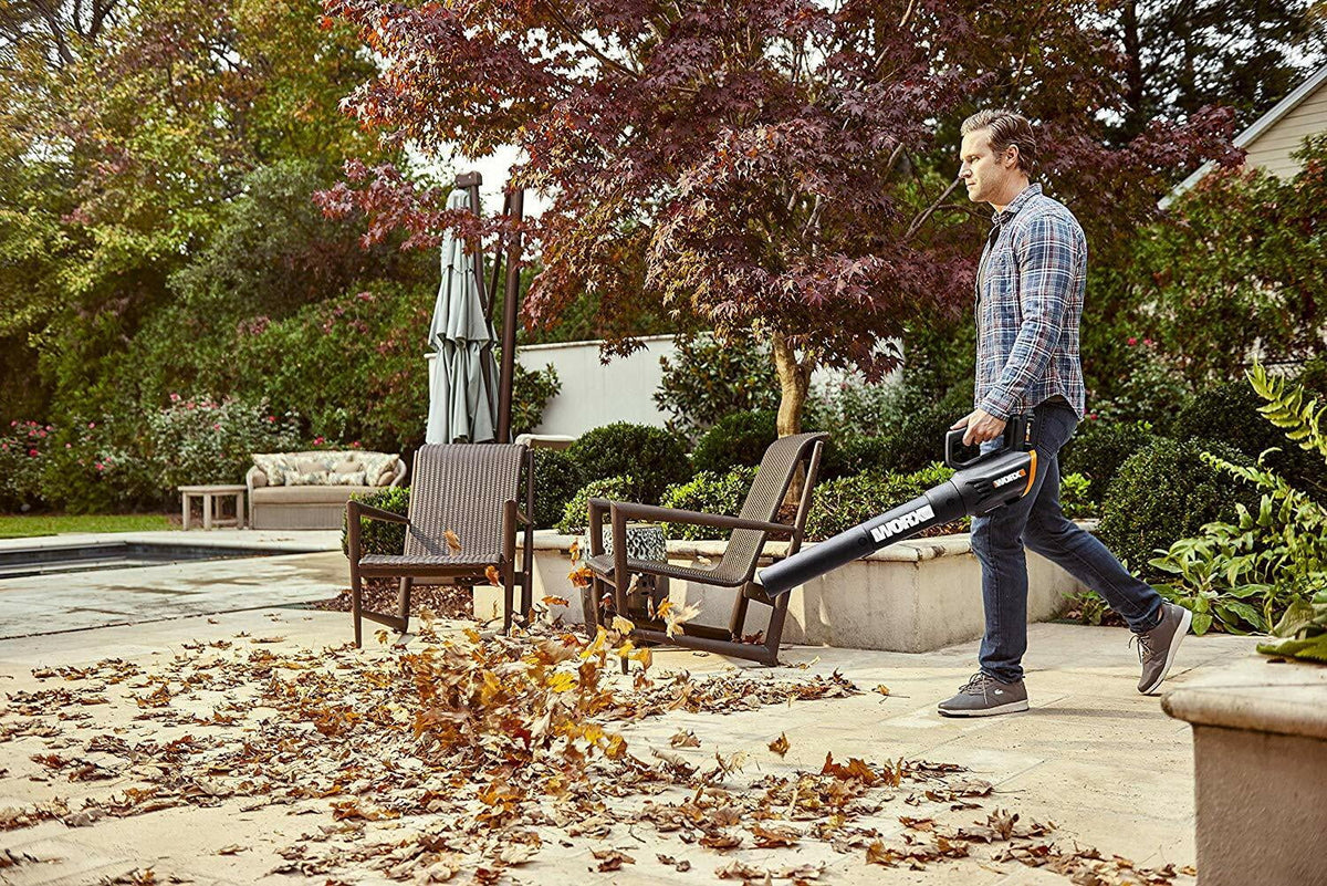 20 Volt Cordless 2 Speed Leaf Blower V894