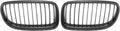 Pair Car Front Grille Black ABS Plastic Hood Kidney Grille Pack of 2 Z841