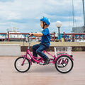 16 inch Single Speed 3 Wheel Tricycle with Rear Basket O4440