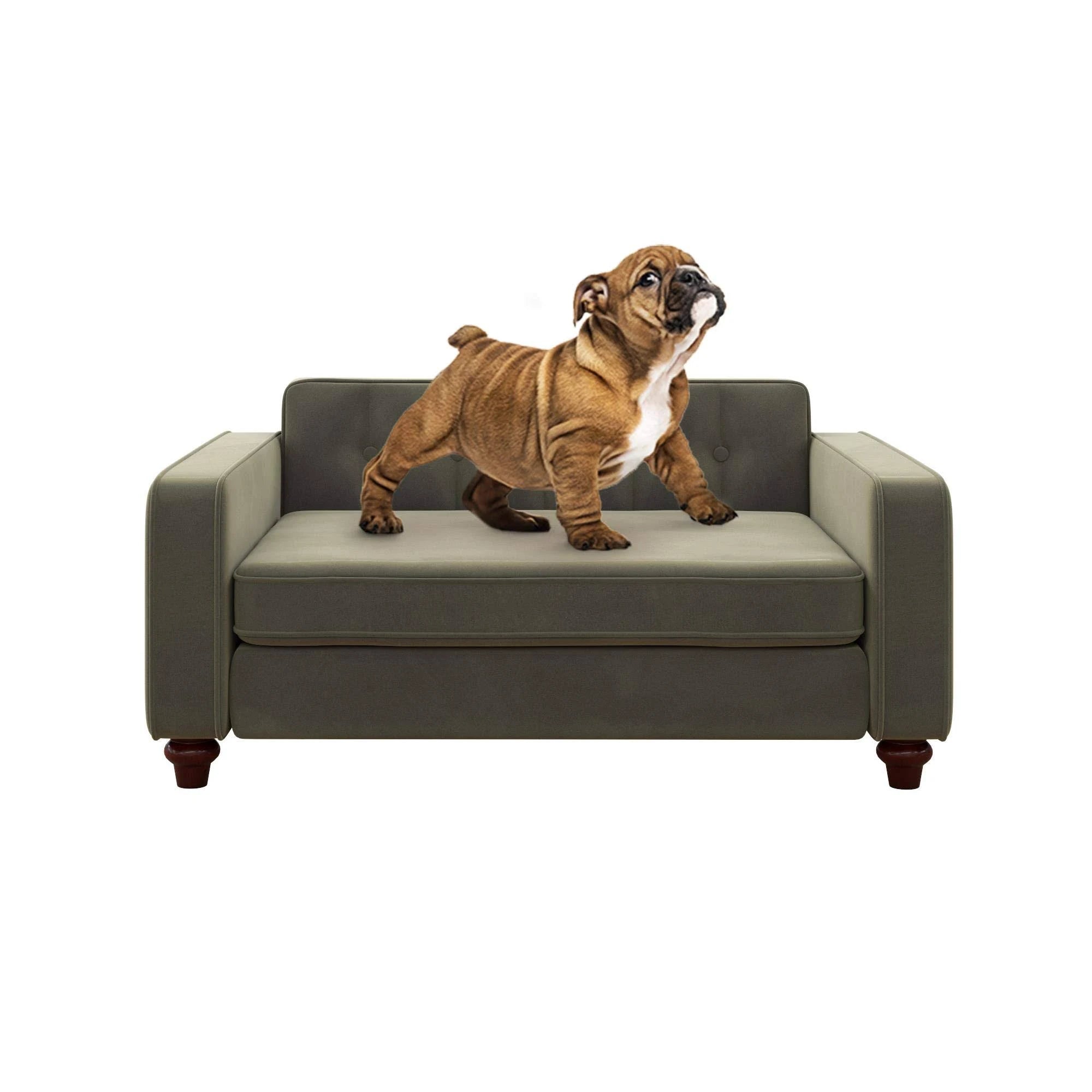 Gray Velvet Pet Sofa W8867