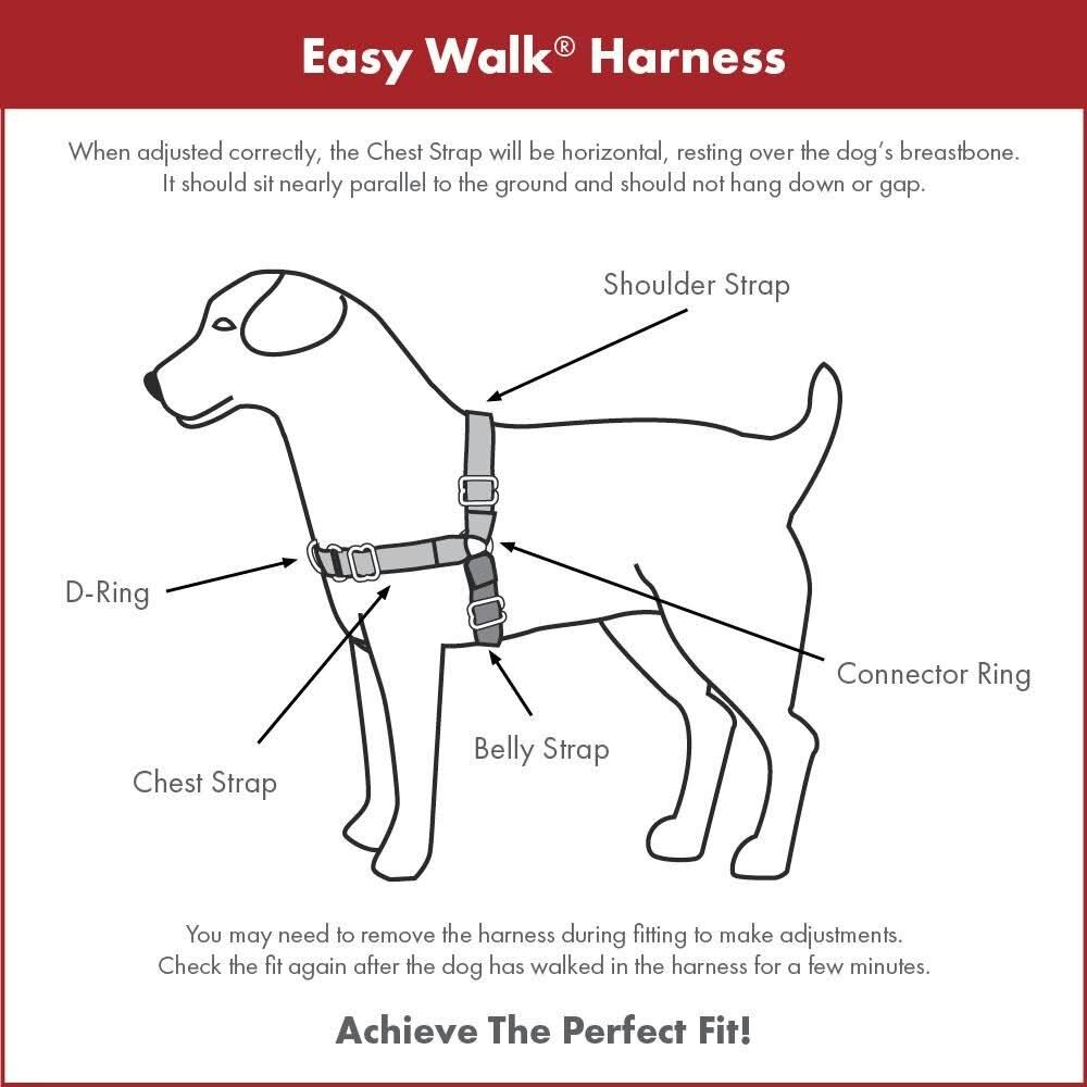 Black Medium Harness W919995