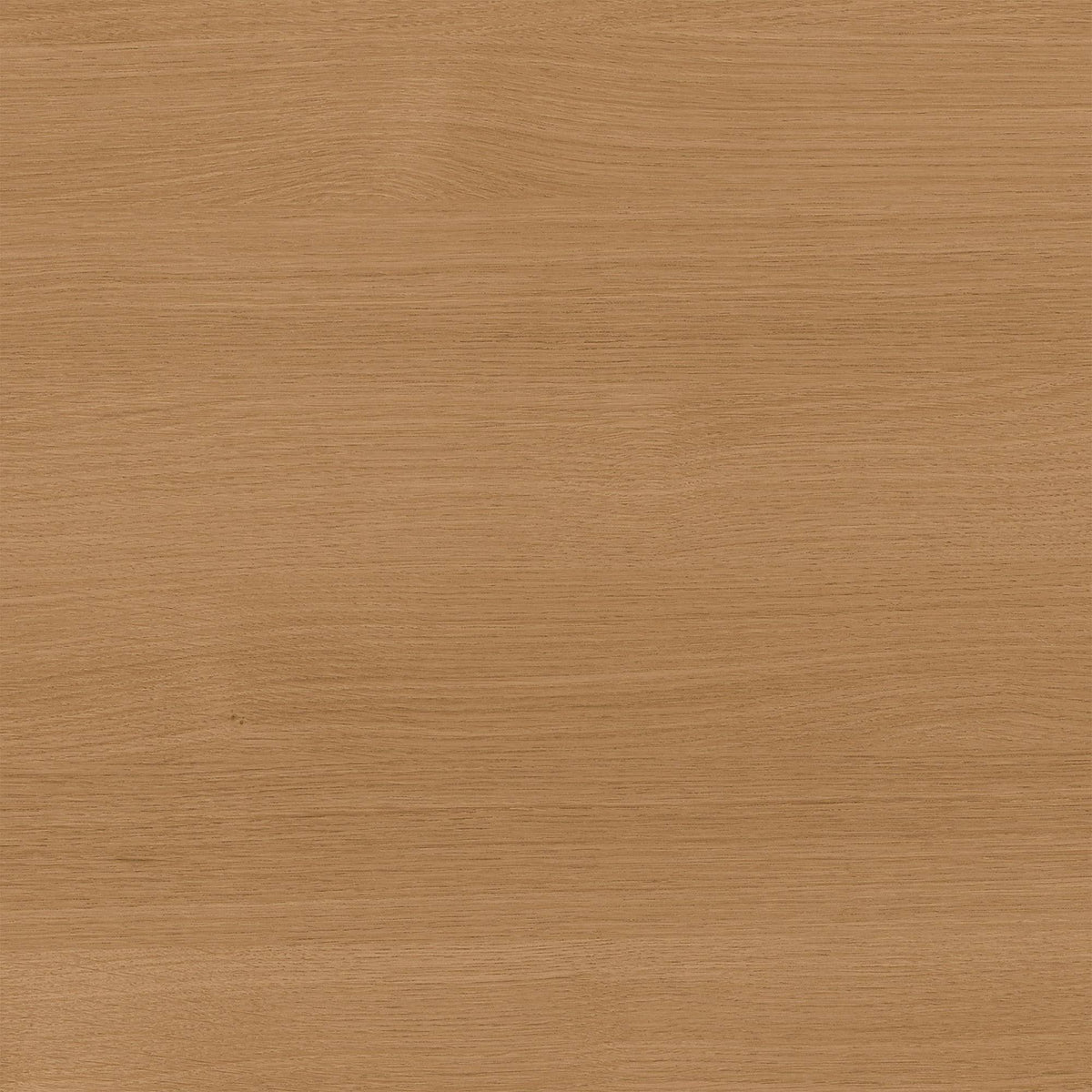 Light Oak 2 Drawer Mobile File Cabinet H1564