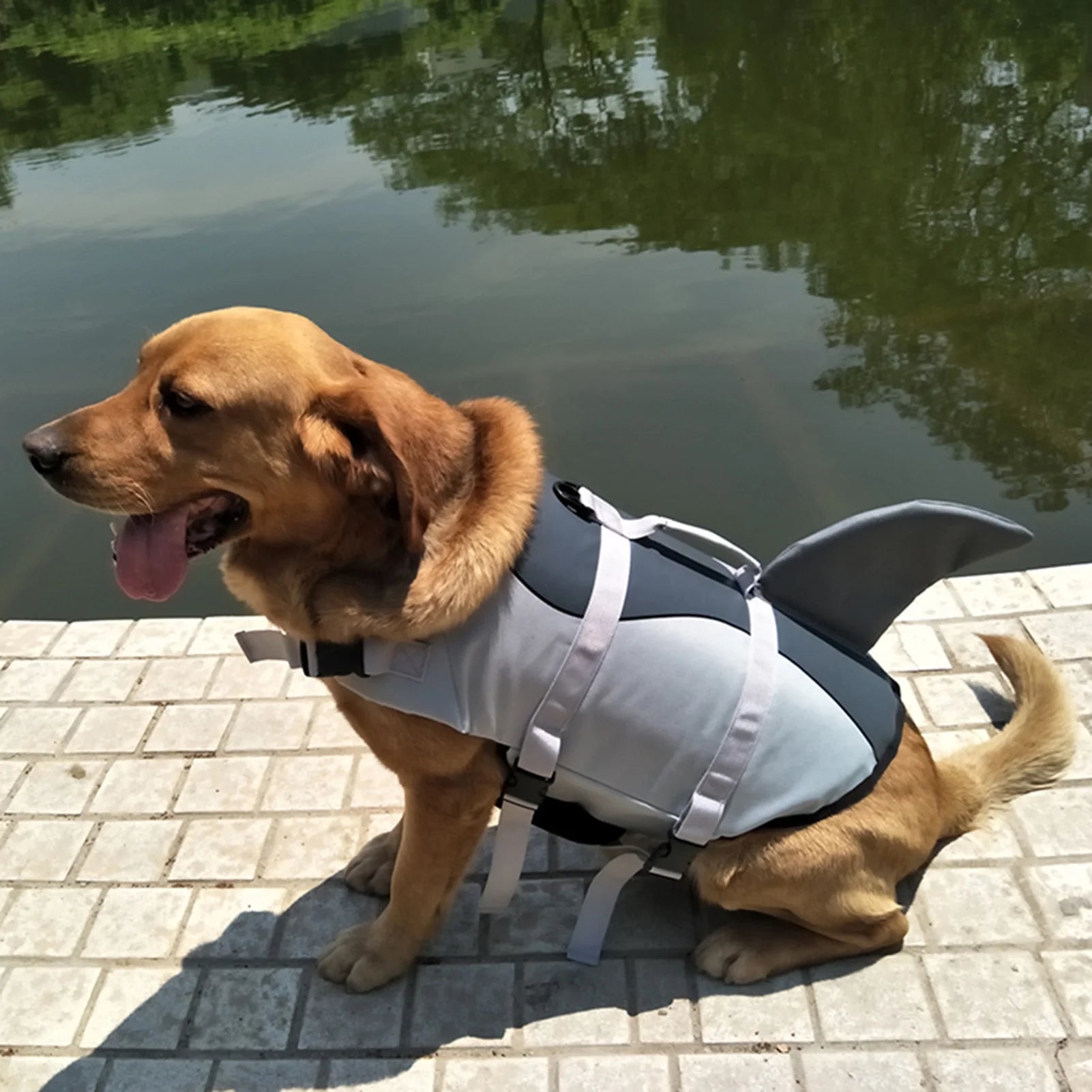 Dog Pet Shark Swimsuit Vest Safety Wear C796
