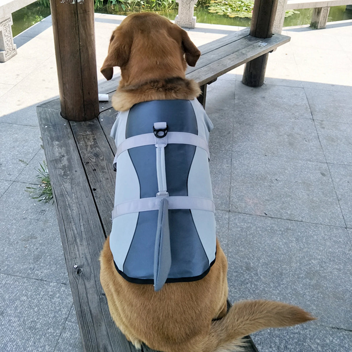 Dog Pet Shark Swimsuit Vest Safety Wear C796