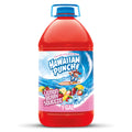 Lemon Berry Squeeze Juice Drink, 1 gal bottle H649