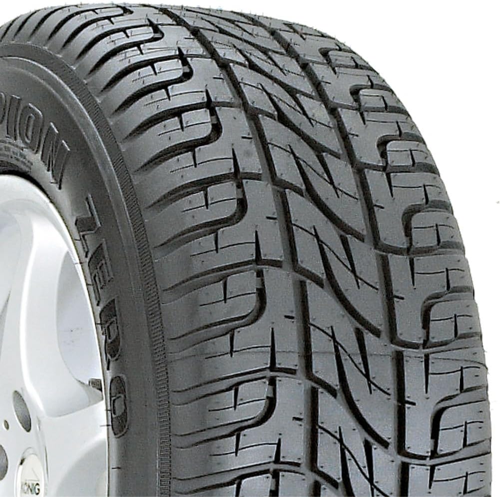 255/55-19 All Season Tire V4906