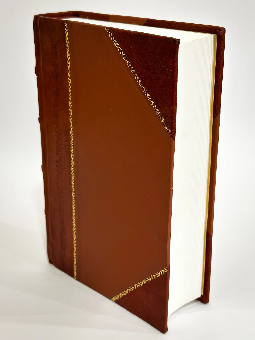 Leather Bound Book P111
