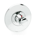 Stainless Steel Thermostatic Trim Plate with Handle R4995