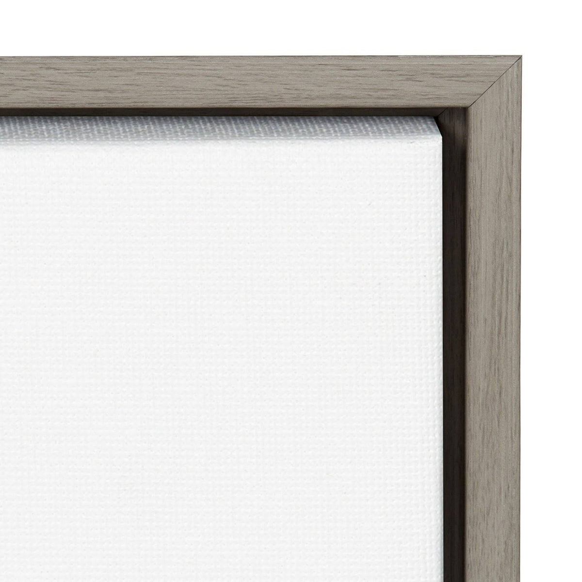 Light Graywash Framed Canvas Art B2282