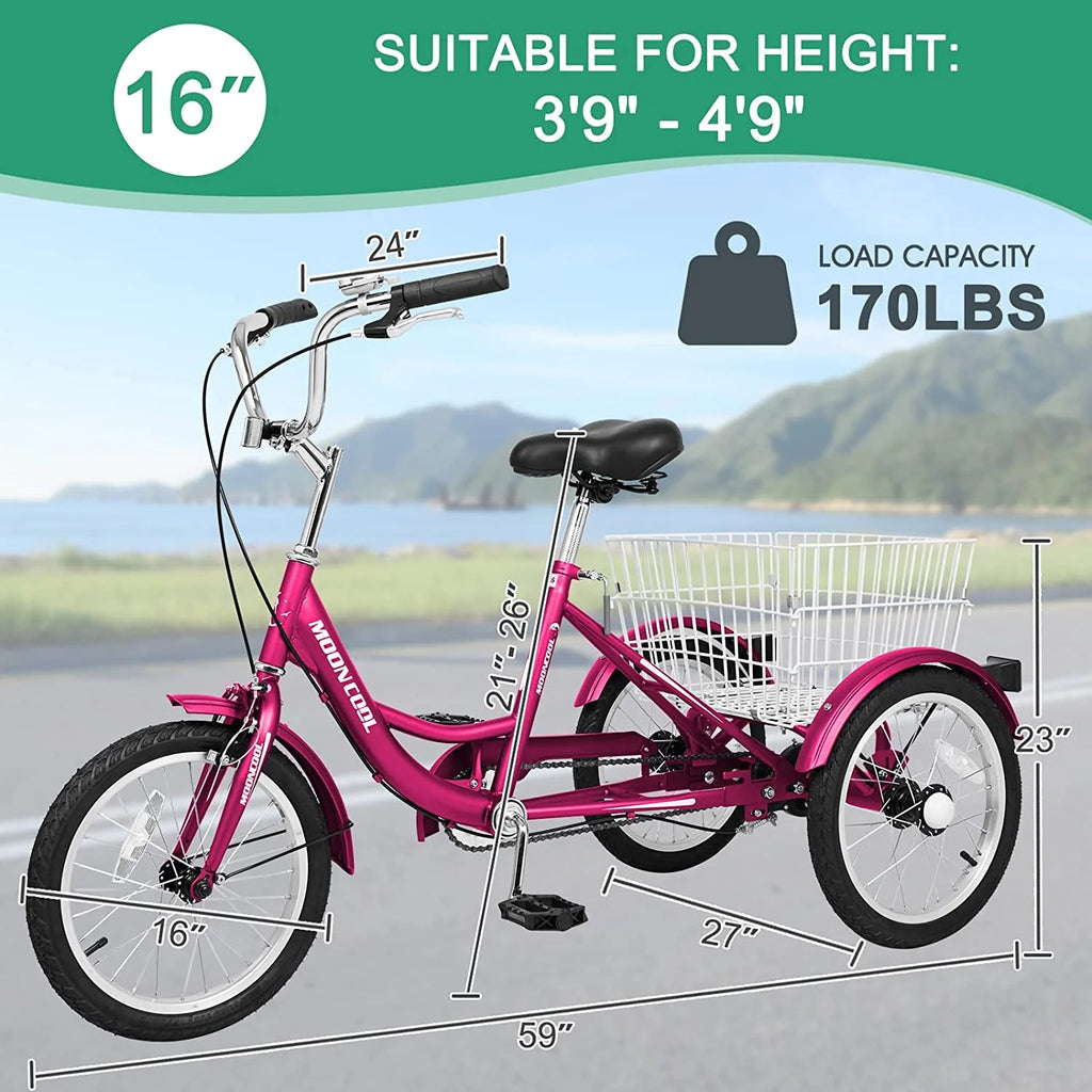 16 inch Single Speed 3 Wheel Tricycle with Rear Basket O4440