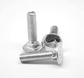 3/4x22-10 x 5x22 (FT) Coarse Thread Carriage Bolt Stainless Steel 18-8 Pk 40 R200166