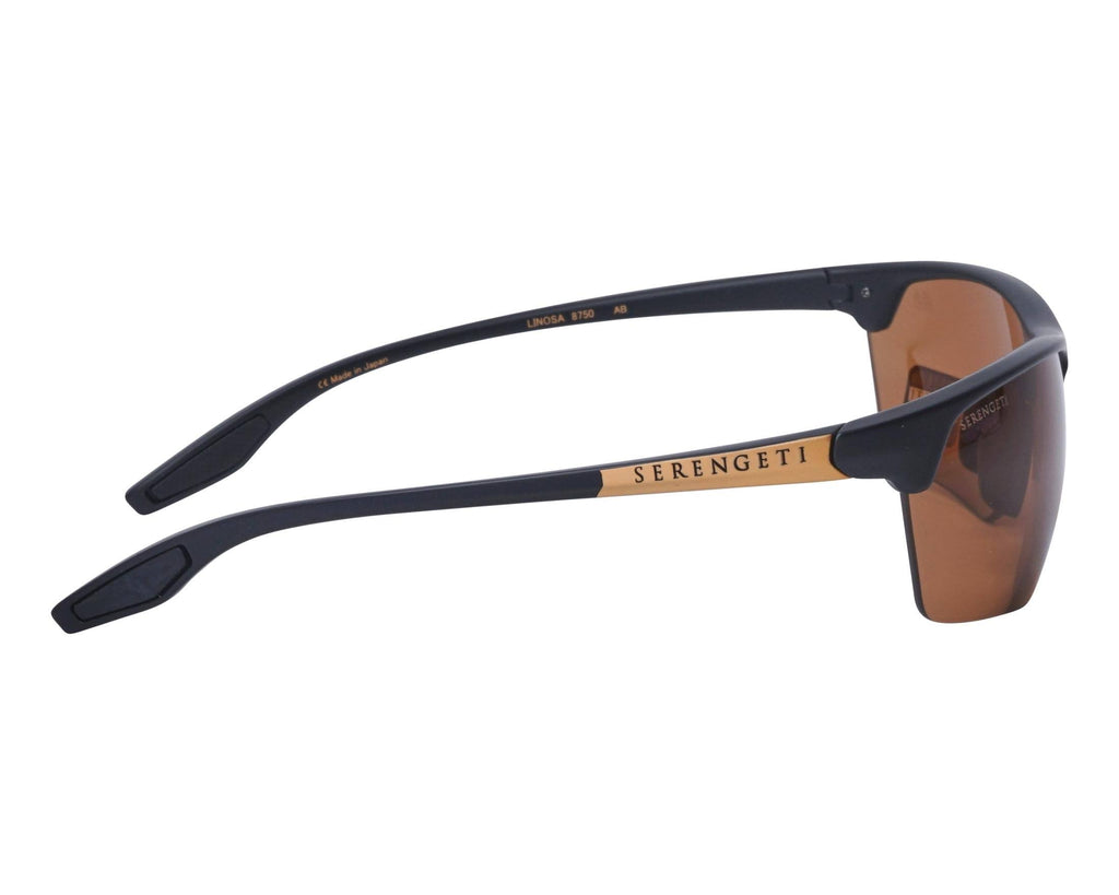 Satin Black / Gold Sunglasses M6256
