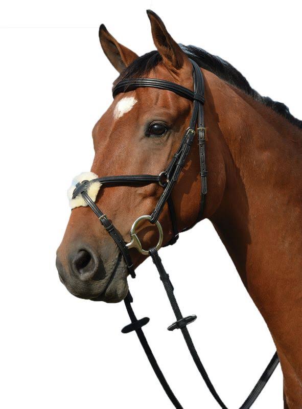Black Padded Raised Cavesson Bridle N32648