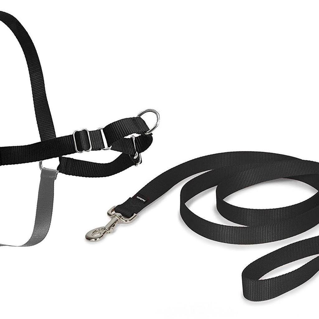Black Medium Harness W919995