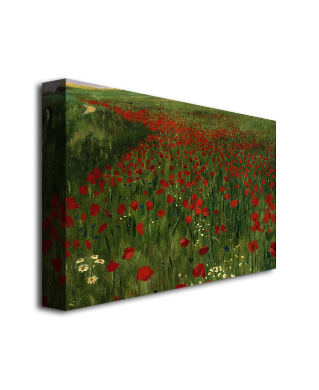 Canvas Art B162