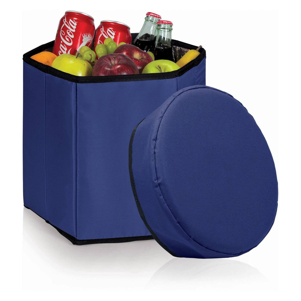 Picnic Cooler and Seat T599