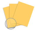 Goldenrod Carbonless Paper 11 x 17 in 20 lb Bond 500 per Ream I198203